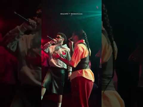 Shaw With Nayra Babour Lou7