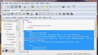 Build Your Own Website » Lesson 8 » HTML Meta Tags » Spin Your Own Web!