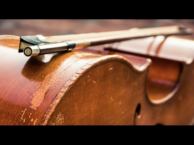 Realistic Cello Vst Free Realistic Cello Vst Free