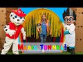 Assistant Answers Questions to Transform Paw Patrol in the Magic Tunnel