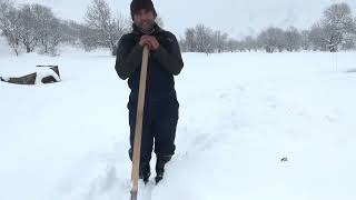 картинка: Барф курпаи замин АМО мо барфро дуст медорем як вакти хобкуни