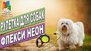 Рулетка для собак Флекси Неон | Обзор рулетки Флекси | Flexi Neon review