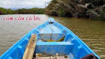 Mùa nước nổi đi cắm câu cá lóc ở Đồng Nai