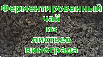 Ферментированный чай из листьев винограда. Это лучше, чем просто заваривать разные сушеные травки.