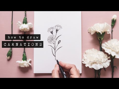 Video: How To Draw A Carnation