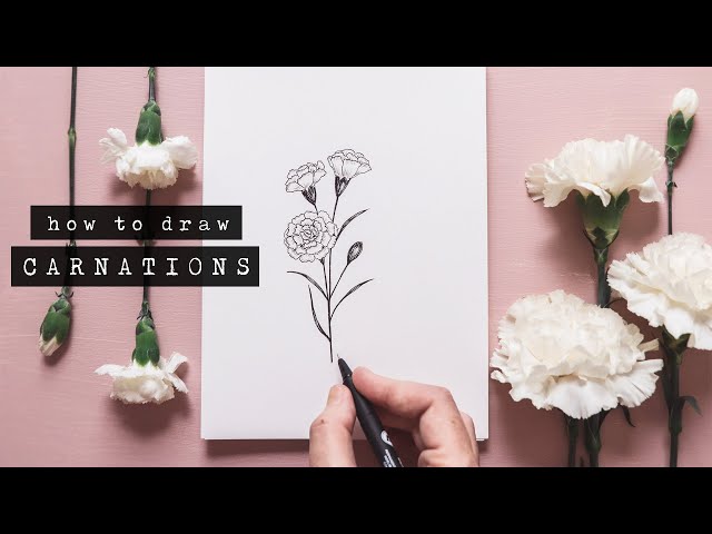 How To Draw Carnations | Floral Illustration