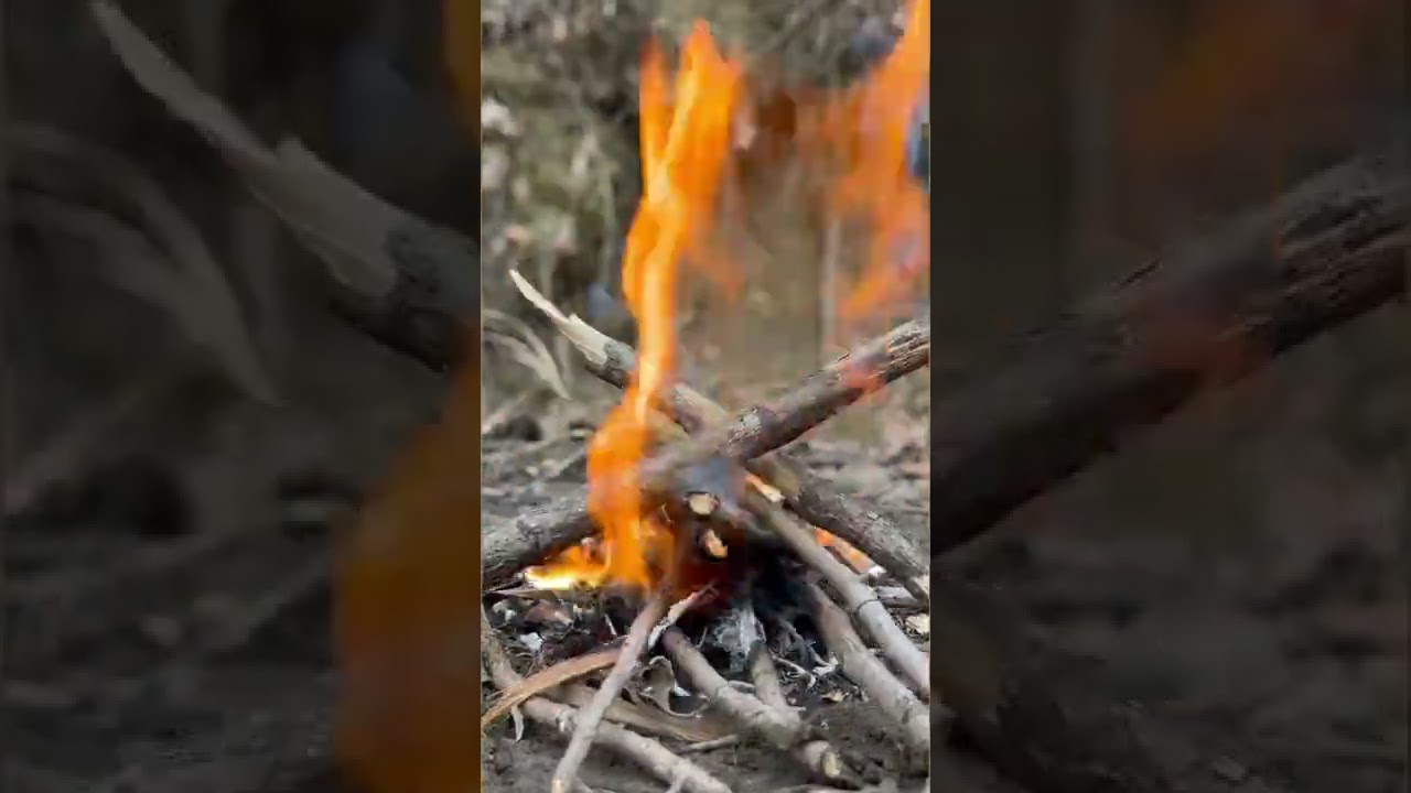 How To Build A Campfire - Boy Scout Requirement 2b and 2c!! 