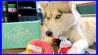 HUSKY WILL NOT SHARE | PawPack UnBoxing 39