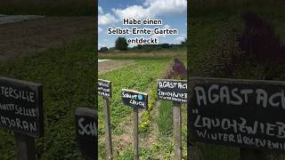 Selbst-Ernte-Garten oder wie nennt man das? Abendessen gesichert 👍🏻#gemüsegarten #gemüseanbau