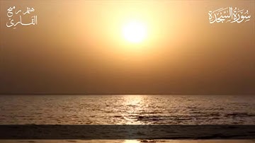 ما تيسر من سورة السجدة | تلاوةٌ نديةٌ خاشعةٌ | القارئ هيثم رميح