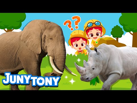 The Biggest Land Animals Elephant Vs Rhino Animal Songs For Kids Nursery Rhymes JunyTony 