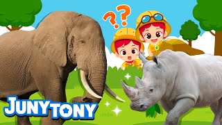 The Biggest Land Animals | 🐘Elephant vs. Rhino🦏 | Animal Songs for Kids | Nursery Rhymes | JunyTony