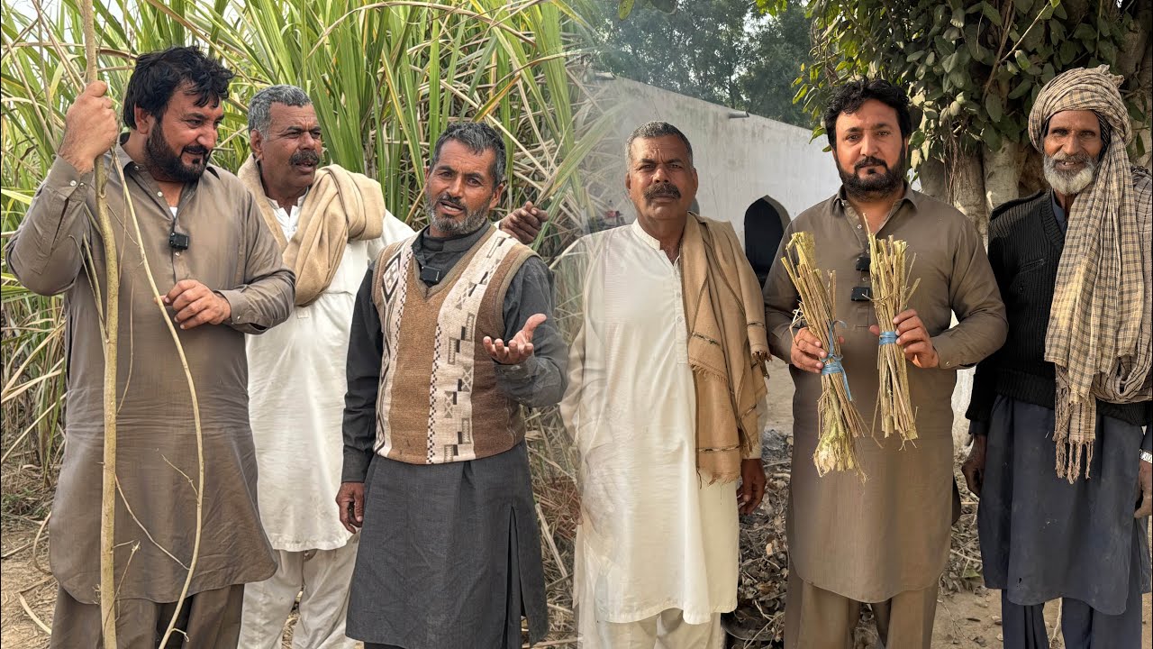 Organic Gurr banan lai Sukhlaai da boota labya | Babyan ne sawaal paay | Anjum Saroya