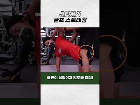 알고싶은 골프 골반 스트레칭^^ 따라해 보아요! #골프레슨 #골프 thumbnail