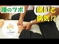 DAIGO足つぼマッサージでかかとのツボが痛い理由は婦人科の病気？ メンタリストDAIGO足ツボは効果ナシってほんと？（大阪足つぼ）