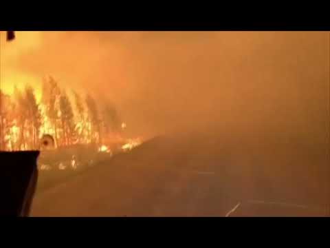 Apocalyptisch: Siberi in brand (2021)