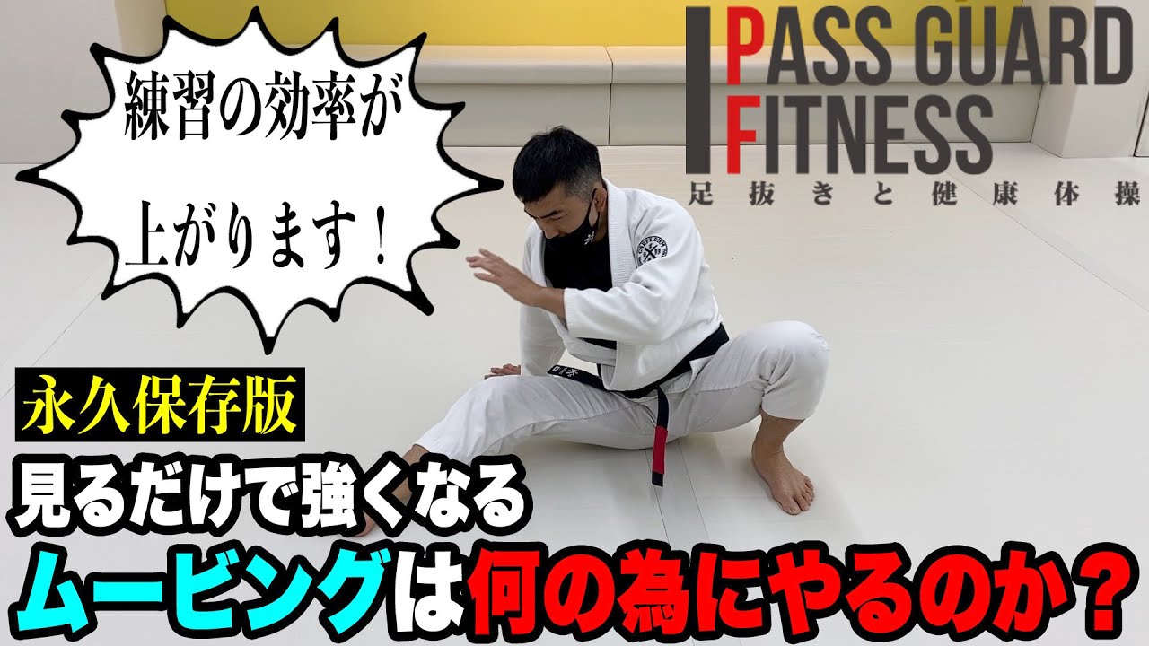 『永久保存版』見るだけで強くなる！ムービングは何の為にやるのか？を説明しました【柔術】【BJJ】