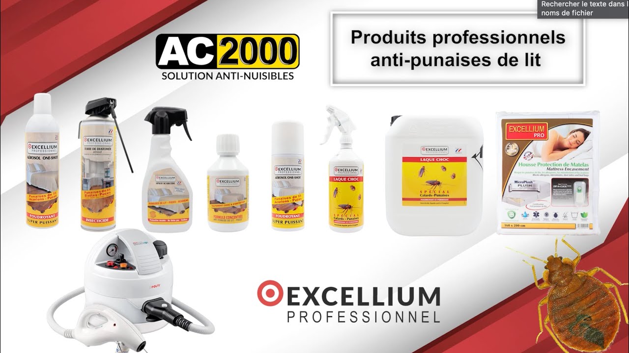 Laque choc Excellium insecticide contre cafards et punaises de lit