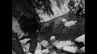 Sodistilled - Purity Isthisconttion Official Music Video