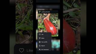 #music #viral ____ Video to explore #copyrightfree