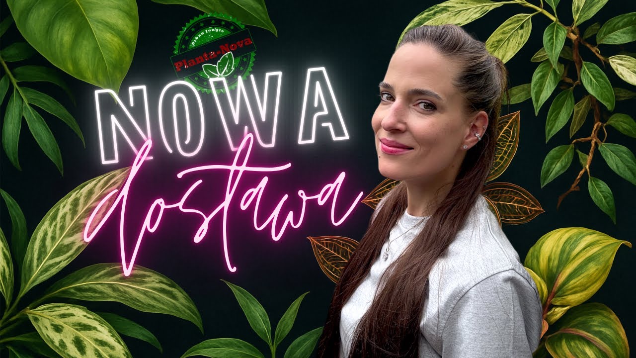 🔥Roślinna obsesja! Najbardziej pożądane kolekcjonerskie hity już dostępne | Nowa dostawa w Plantce🌿
