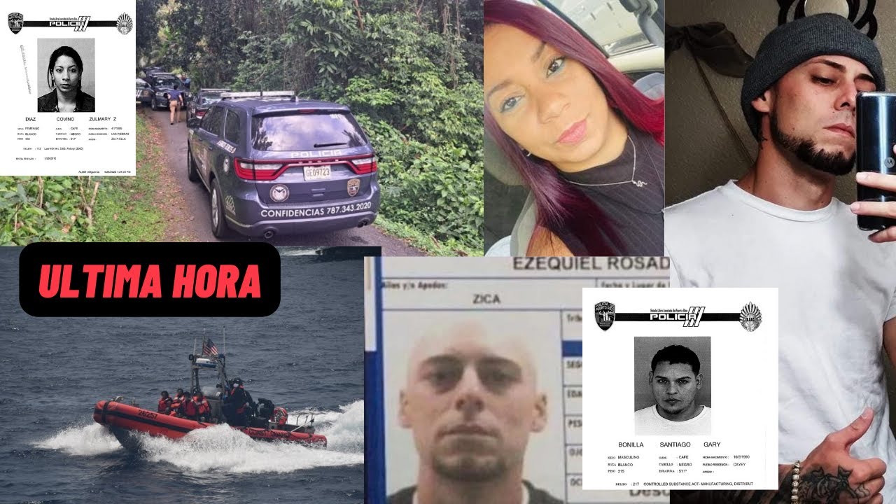 Puerto Rico visual data 5