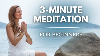 3 Minute Meditation | Guided Meditation for Beginners