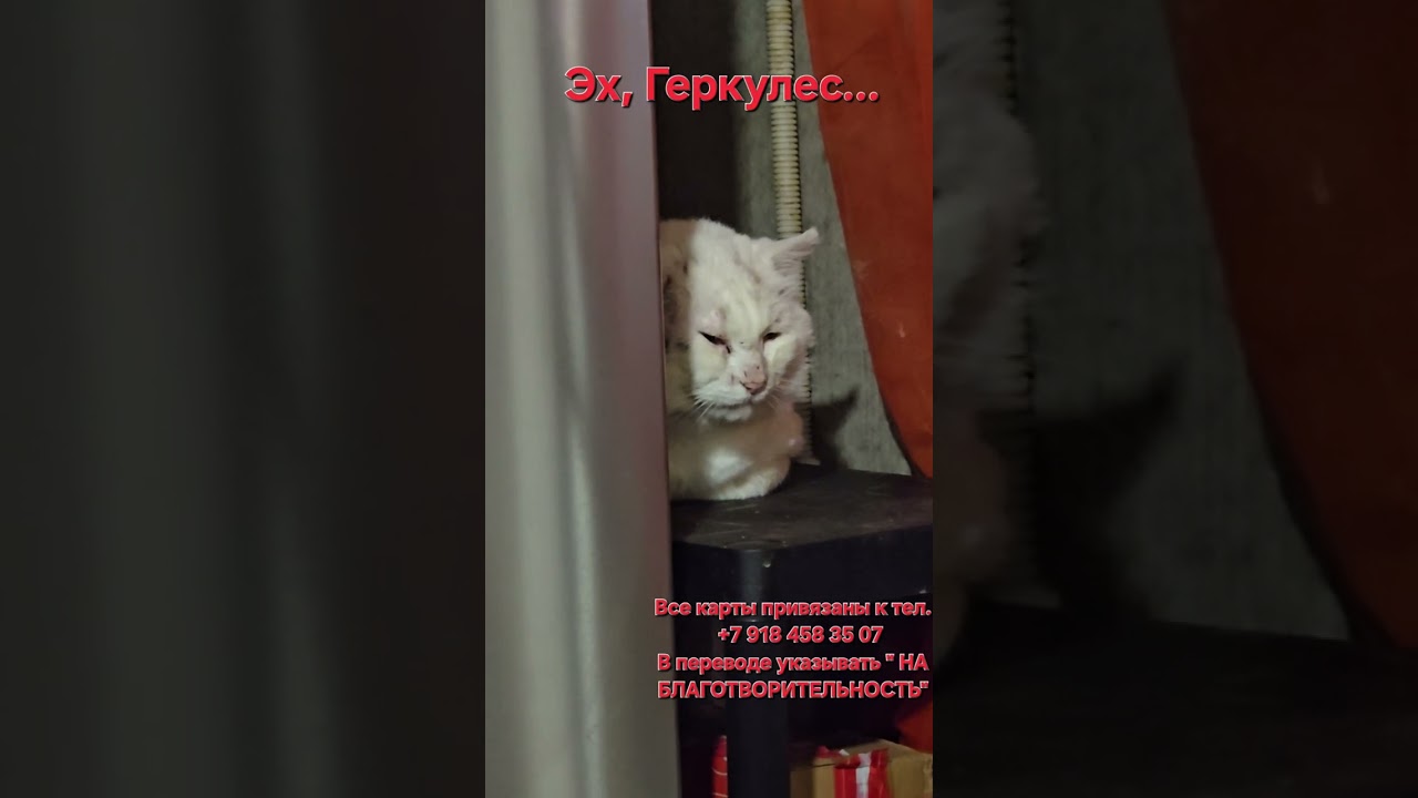 27 февраля 2026 г.