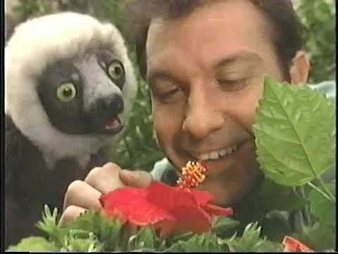 Zoboomafoo - Les créatures vertes - Grandis vite, Zoboo