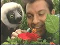 Zoboomafoo  les cratures vertes  grandis vite zoboo