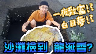 【憨仔】在海灘上發現怪東西！會不會是價值千萬的龍涎香呢？