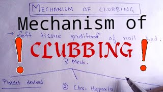 Mechanisms of clubbing || Clubbing || NEET PG||