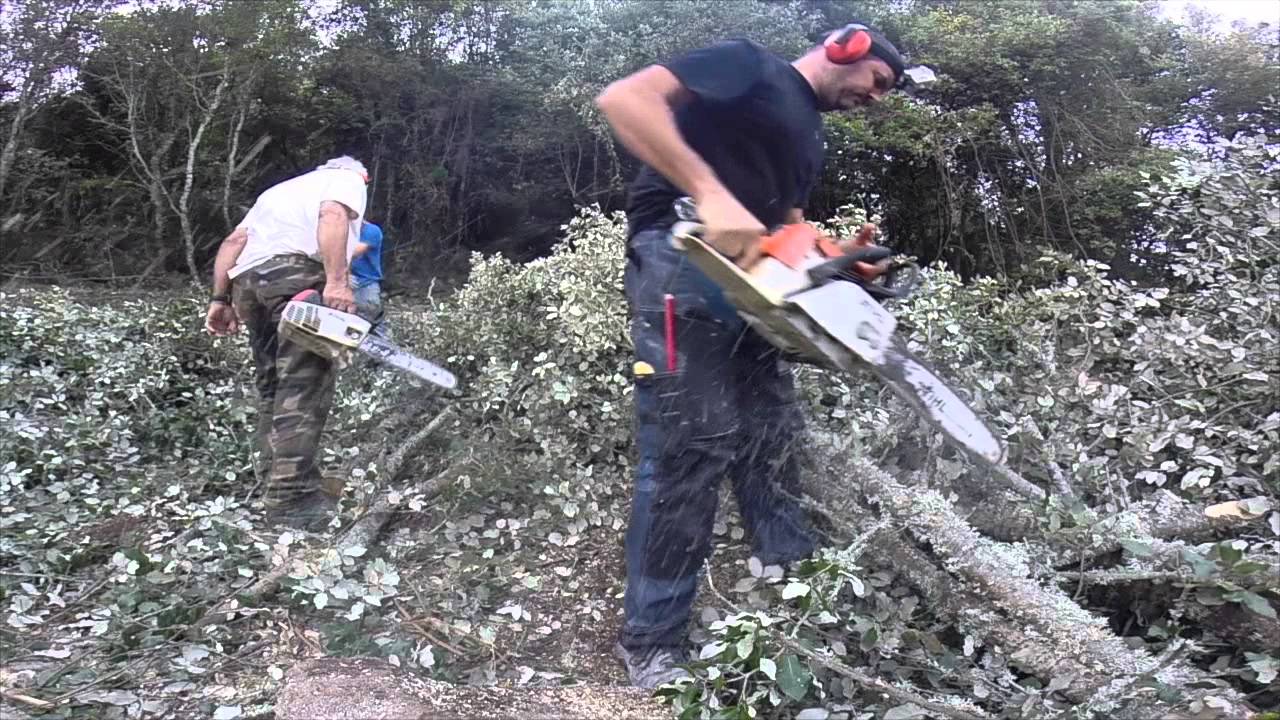 coupe de bois de chauffage 