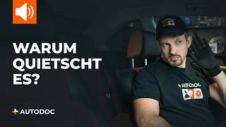 Wartungs-Hacks - CITROËN DS3 1.6 THP 155 Mikrofilter Leitfaden zum Austausch