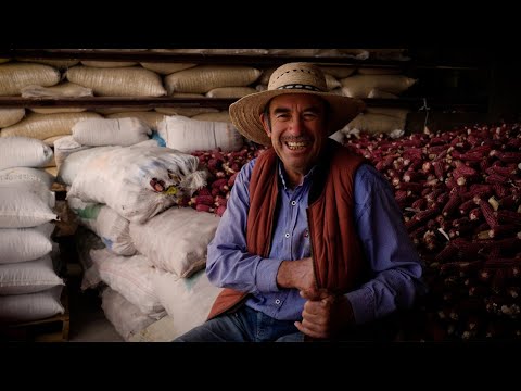 Armando Guadarrama Hernández: Masienda Corn Farmer, Estado de México