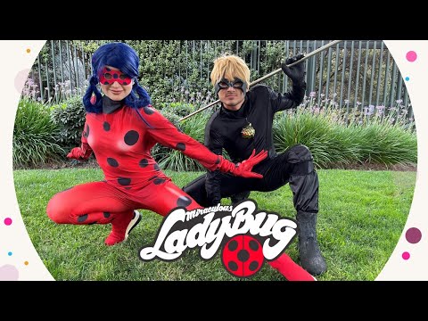 SHOW MIRACULOUS LADY BUG - CM ANIMACIONES CHILE