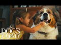 A Dog's Journey | Hannah & Bailey's Party | Film Clip