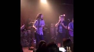 Los Pericos feat Gondwana - Sin Cadenas desde Nashville USA