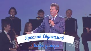 Ярослав Евдокимов - \
