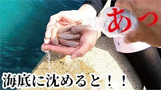 奇怪生物ユ虫を海底に沈めたら大きなの食ってきた！！！