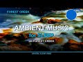 Chillstep Mix - Rainy Forest 4K | Peaceful Study Music