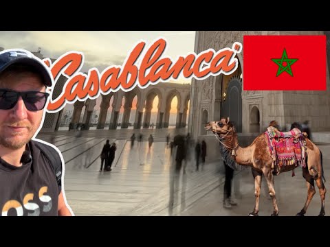 Játssz BetOnRed online kaszinóban! Legjobb nyerőpokereink a magyar játékosoknak