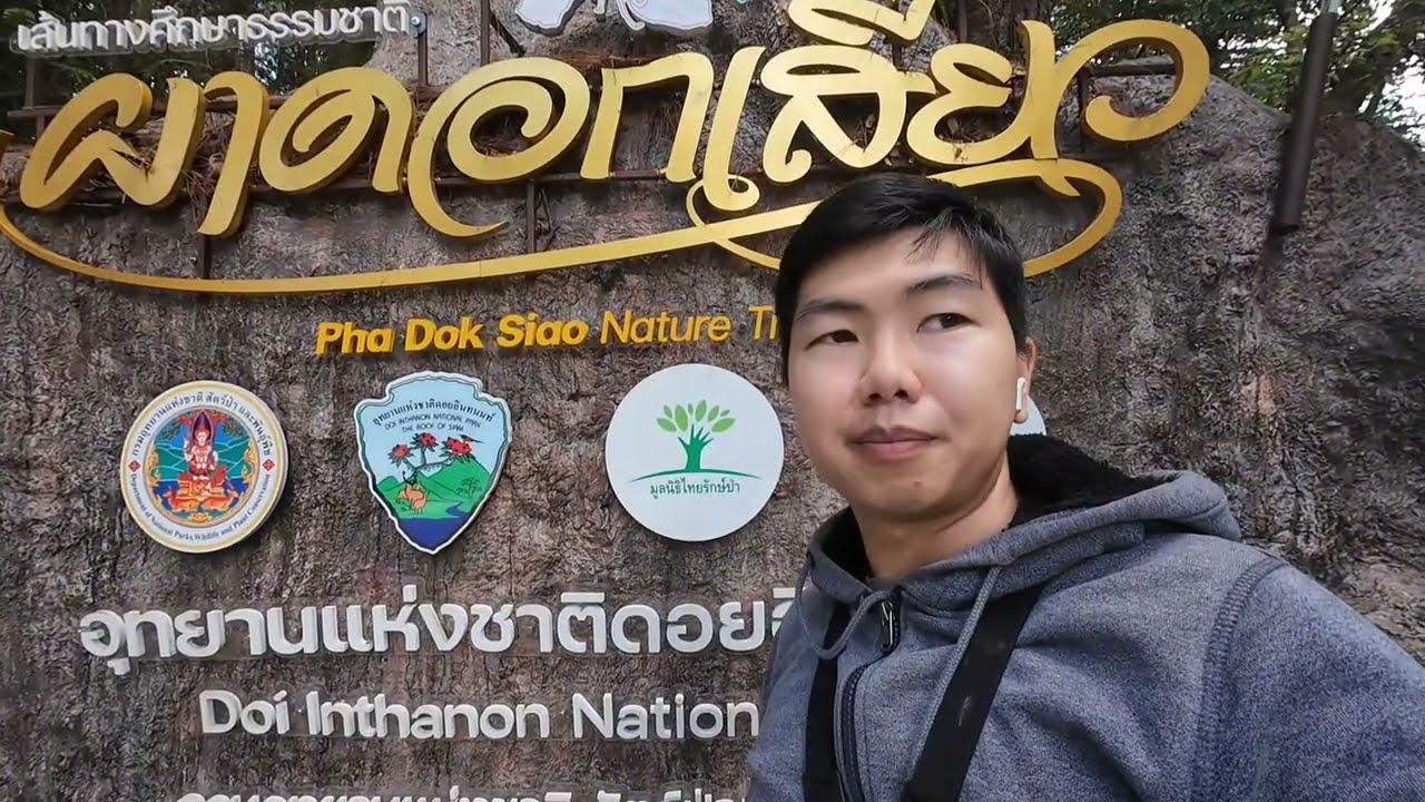 พาเดินป่าสำรวจธรรมชาติ 