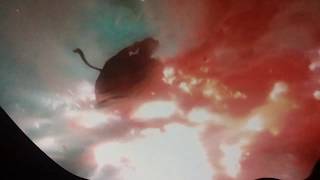 Download Lagu Pipilotti Rist: Sip My Ocean - Museum of Contemporary Art, Sydney MP3