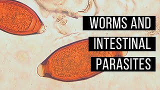 Worms and intestinal parasites