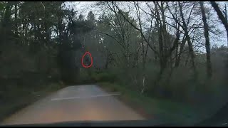 Oregon Trucker Eye to Eye With Bigfoot & Sasquatch Stands Up Into Headlights of Car