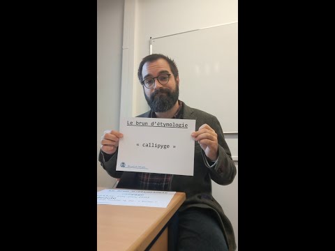 Callipyge : ça