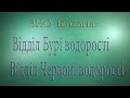 ЗНО Біологія  Відділ Бурі  водорості  Відділ Червоні водорості