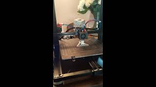 CTC A10s 3d Printer Review (from eBay UK)