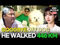 [K-ACTOR] He Walked 446KM to Say Goodbye to His Dog😭#Griefjourney #Goodbye